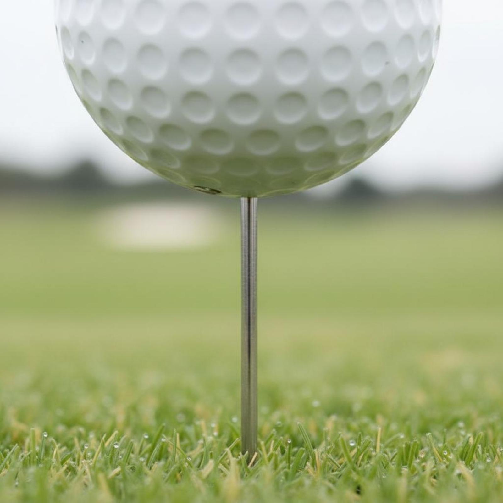 Course Teeing Starter Golf Bal - Golf Tees recension och pris